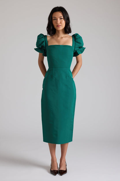 Robe rose à feuilles persistantes