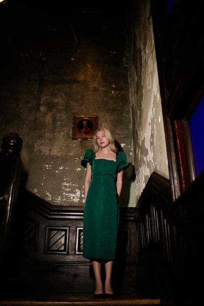 Robe rose à feuilles persistantes