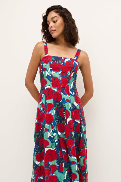 Robe Dixon